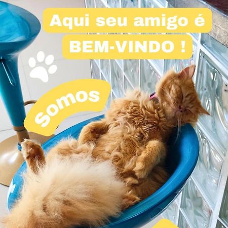 Casa Do Lamarques 皮拉尼亚斯 外观 照片